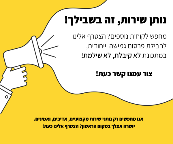 פרסום באתר מיזוגי